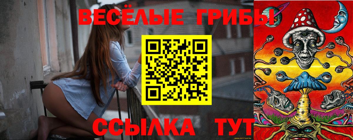 Псилоцибиновые грибы Psilocybine cubensis Морозовск