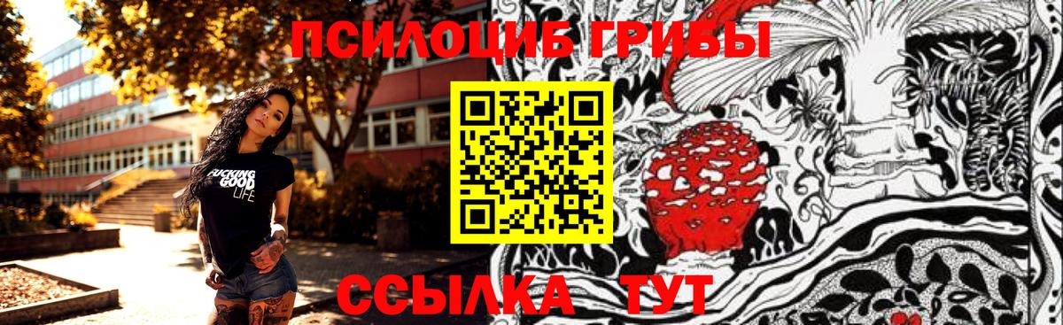 Псилоцибиновые грибы GOLDEN TEACHER  Вход с VPN  Морозовск 